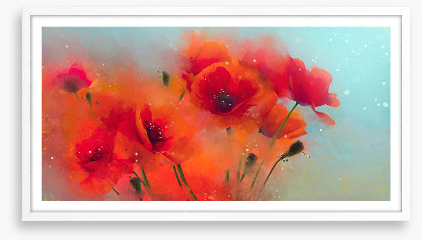 Poppy rain
