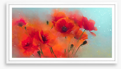 Poppy rain