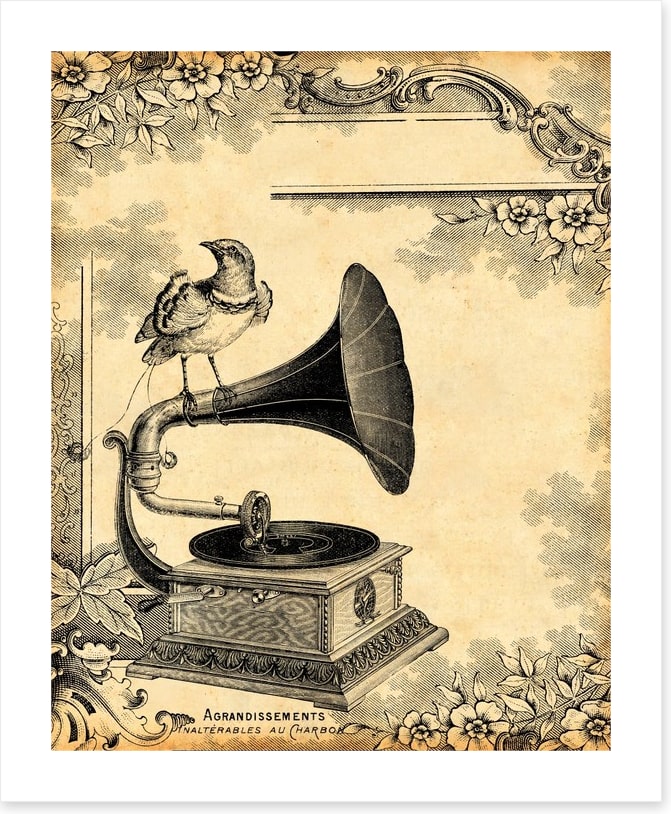 Vintage gramophone