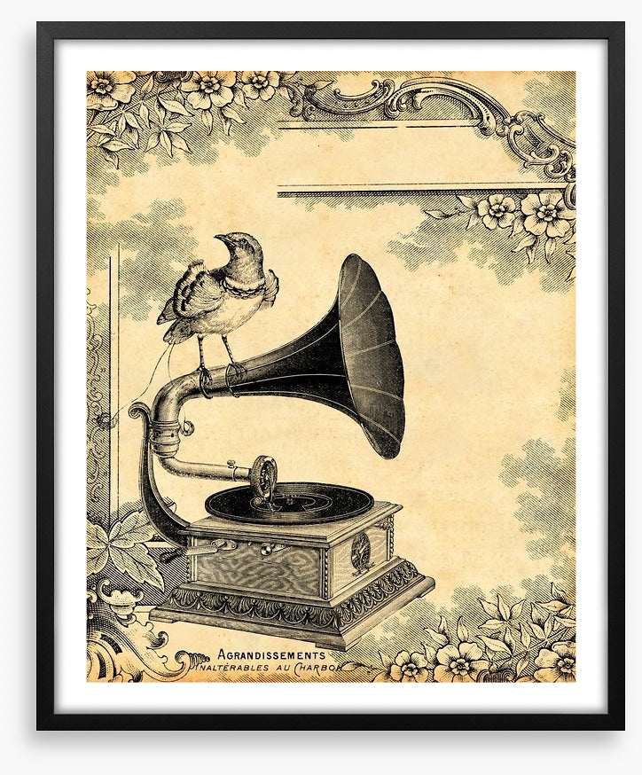 Vintage gramophone
