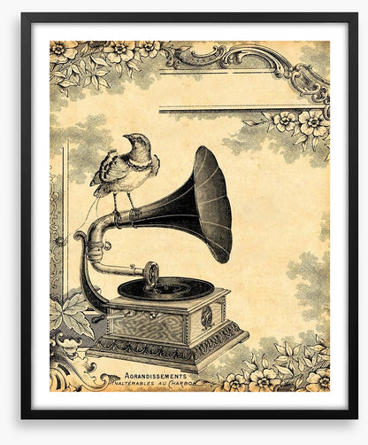 Vintage gramophone