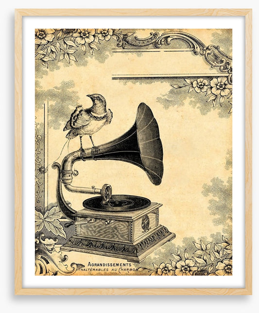 Vintage gramophone