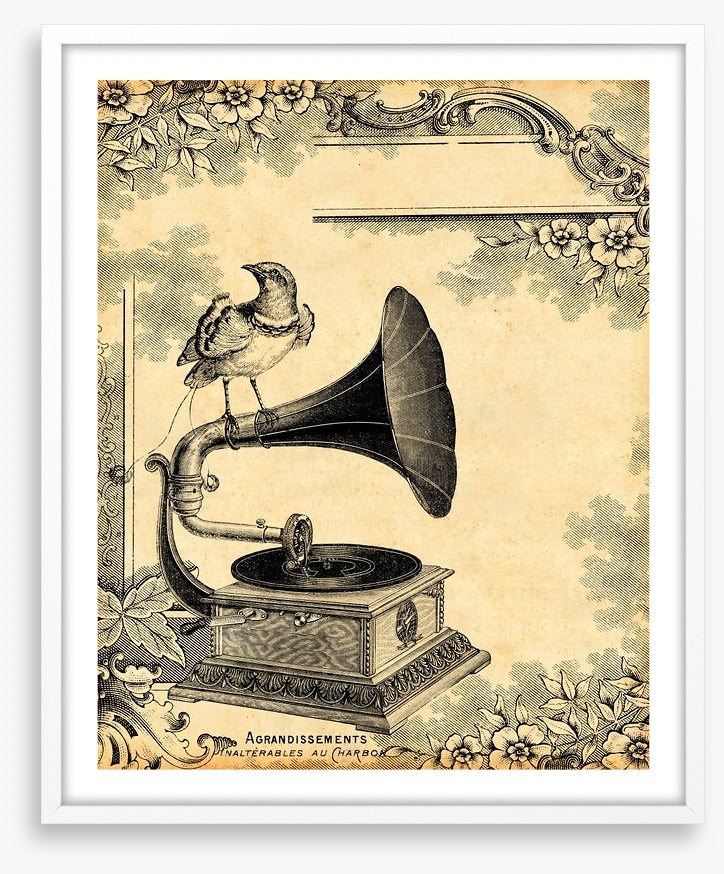 Vintage gramophone