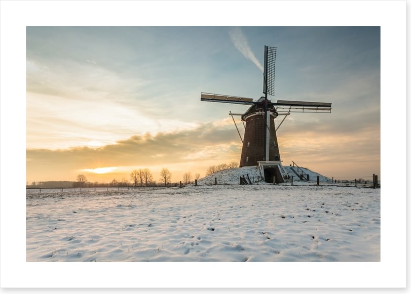 The windmill