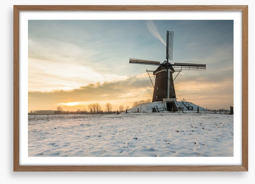 The windmill