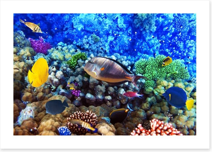 Underwater