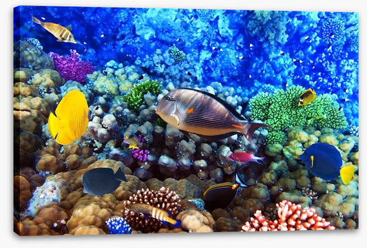 Underwater