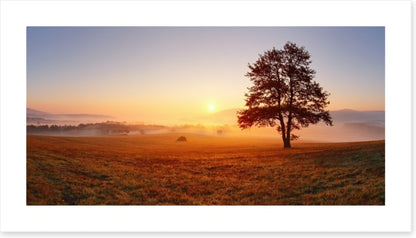 The alone tree