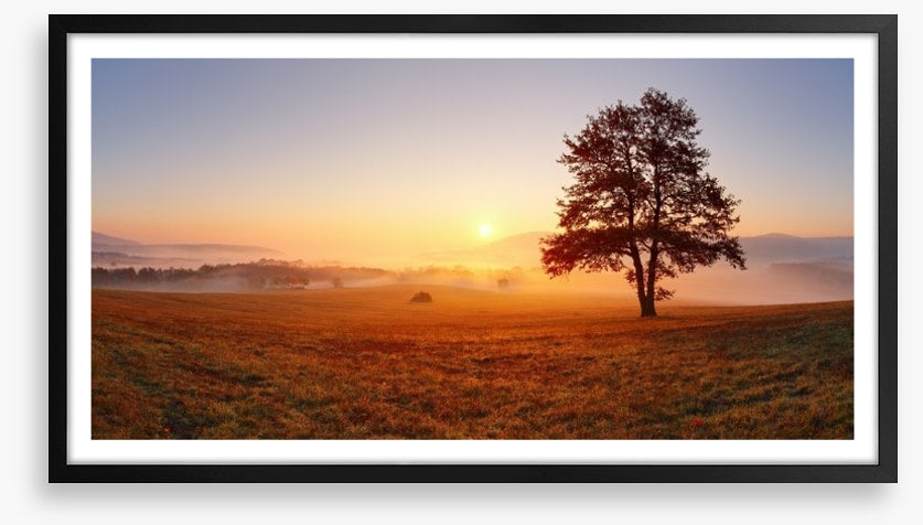 The alone tree