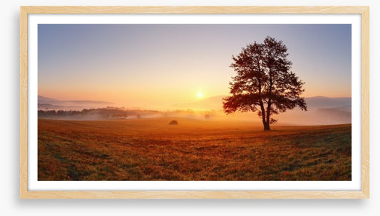 The alone tree