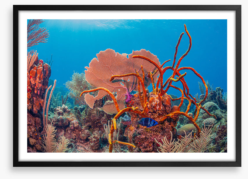 Underwater