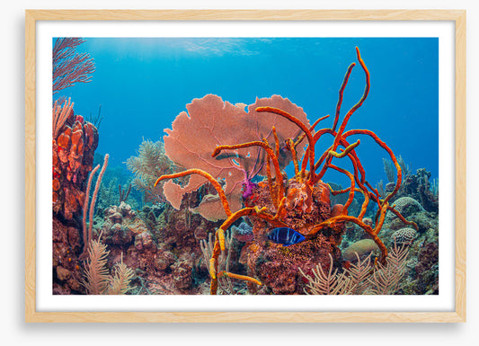 Underwater