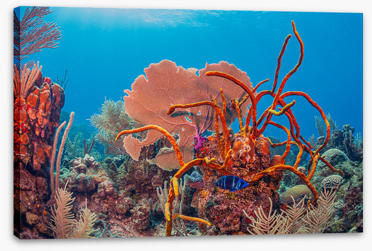 Underwater