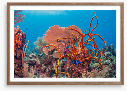 Underwater