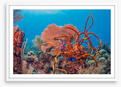 Underwater