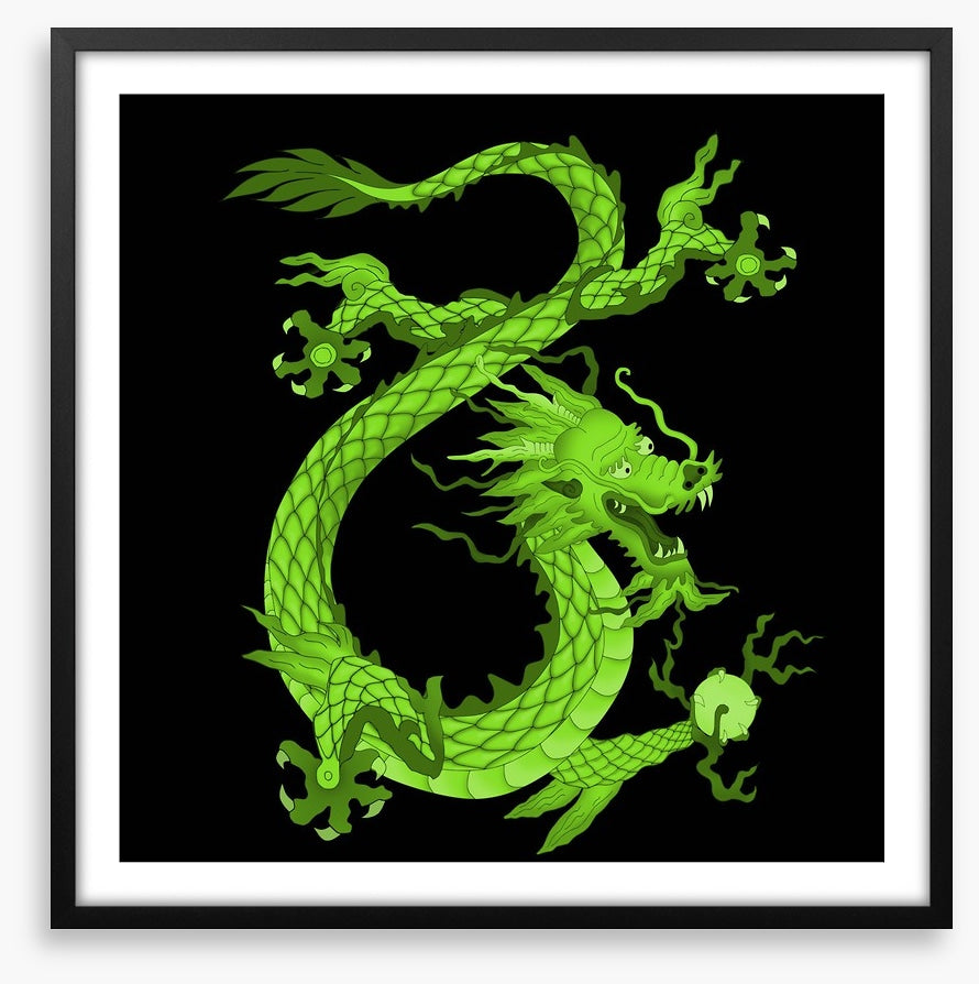 Dragons