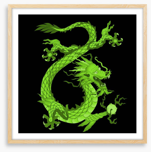 Dragons