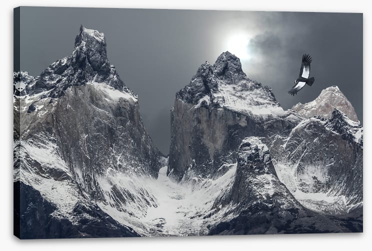 Flight of the condor