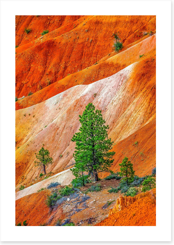 Bryce Canyon greens