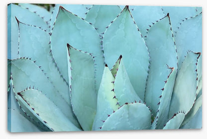 Sharp relief