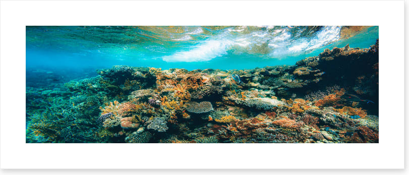 Underwater