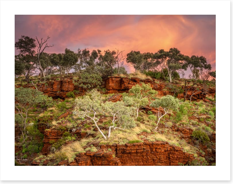 Karijini treescape