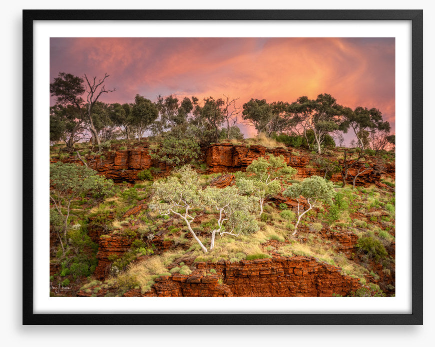 Karijini treescape