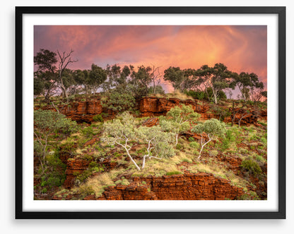 Karijini treescape