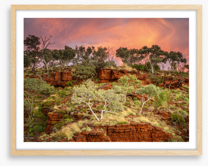 Karijini treescape