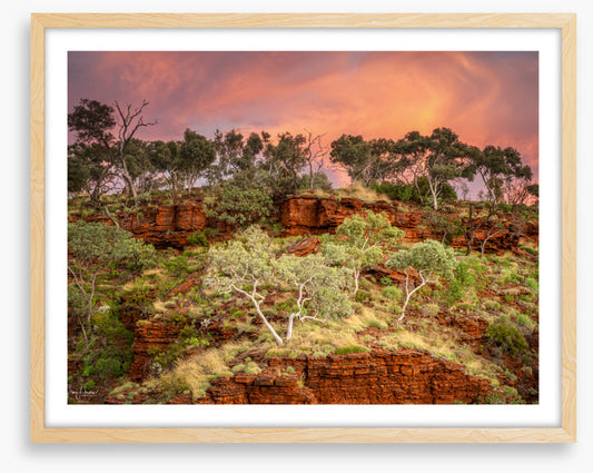 Karijini treescape