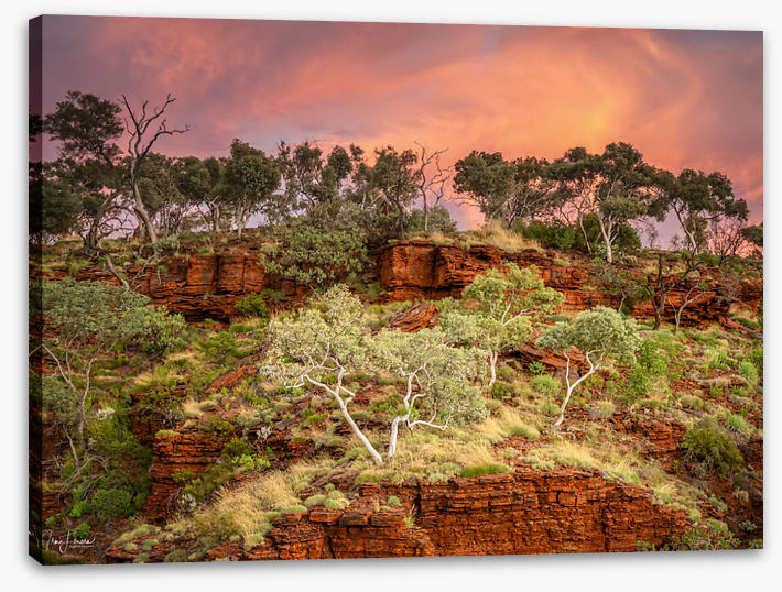 Karijini treescape
