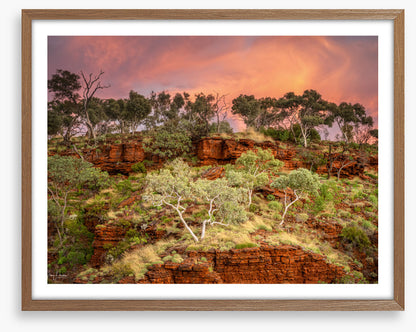 Karijini treescape
