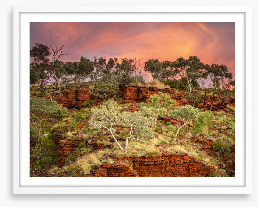 Karijini treescape