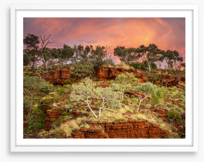 Karijini treescape