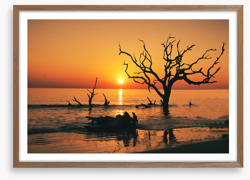 Driftwood Beach silhouettes