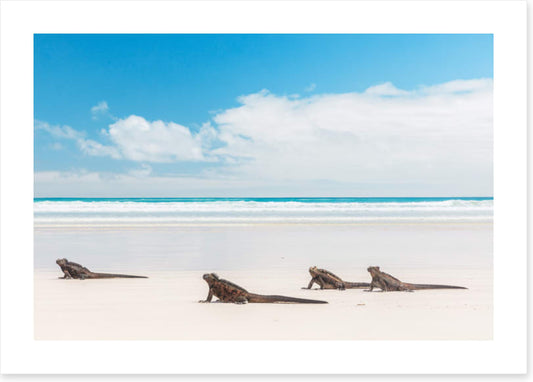 South America