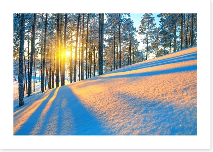 Rays of the setting sun