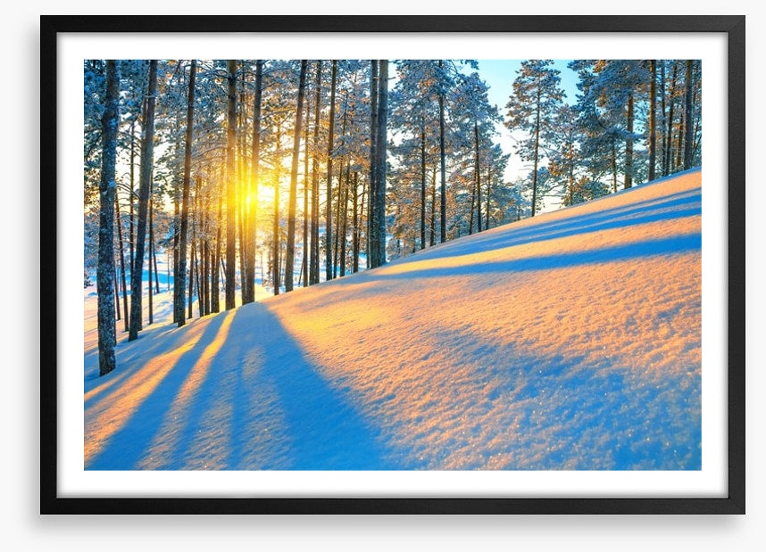 Rays of the setting sun