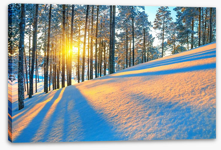 Rays of the setting sun