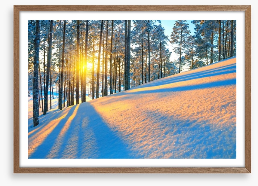 Rays of the setting sun