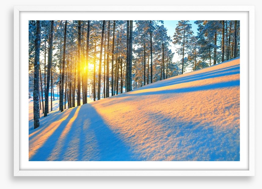 Rays of the setting sun