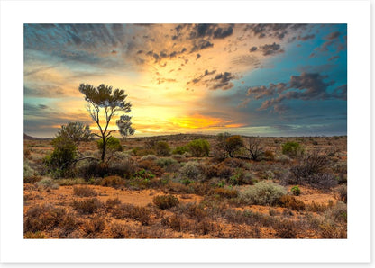 Sunset in the scrub
