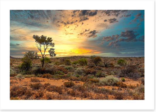 Sunset in the scrub