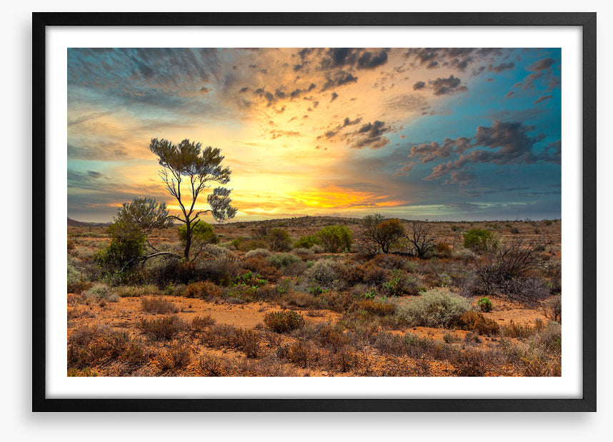 Sunset in the scrub
