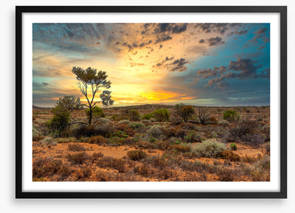 Sunset in the scrub