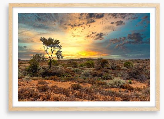Sunset in the scrub