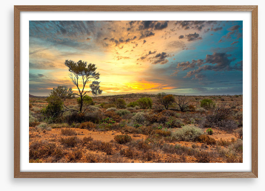 Sunset in the scrub
