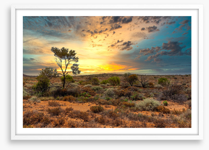 Sunset in the scrub