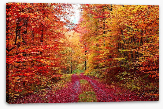 The vibrant forest