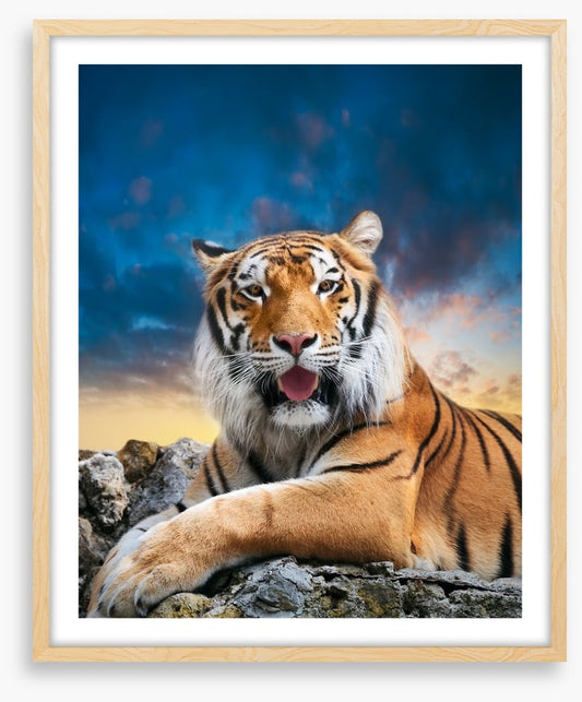 Don't mess with the tigress